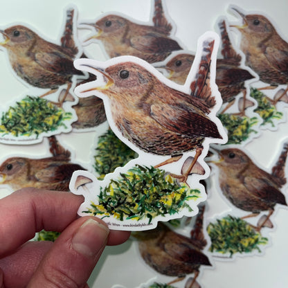 Pacific Wren - Bird Art by KB - Sticker