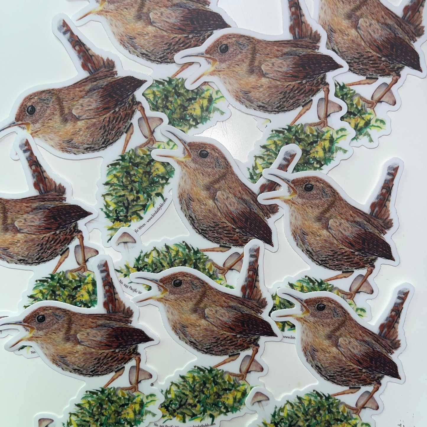 Pacific Wren - Bird Art by KB - Sticker