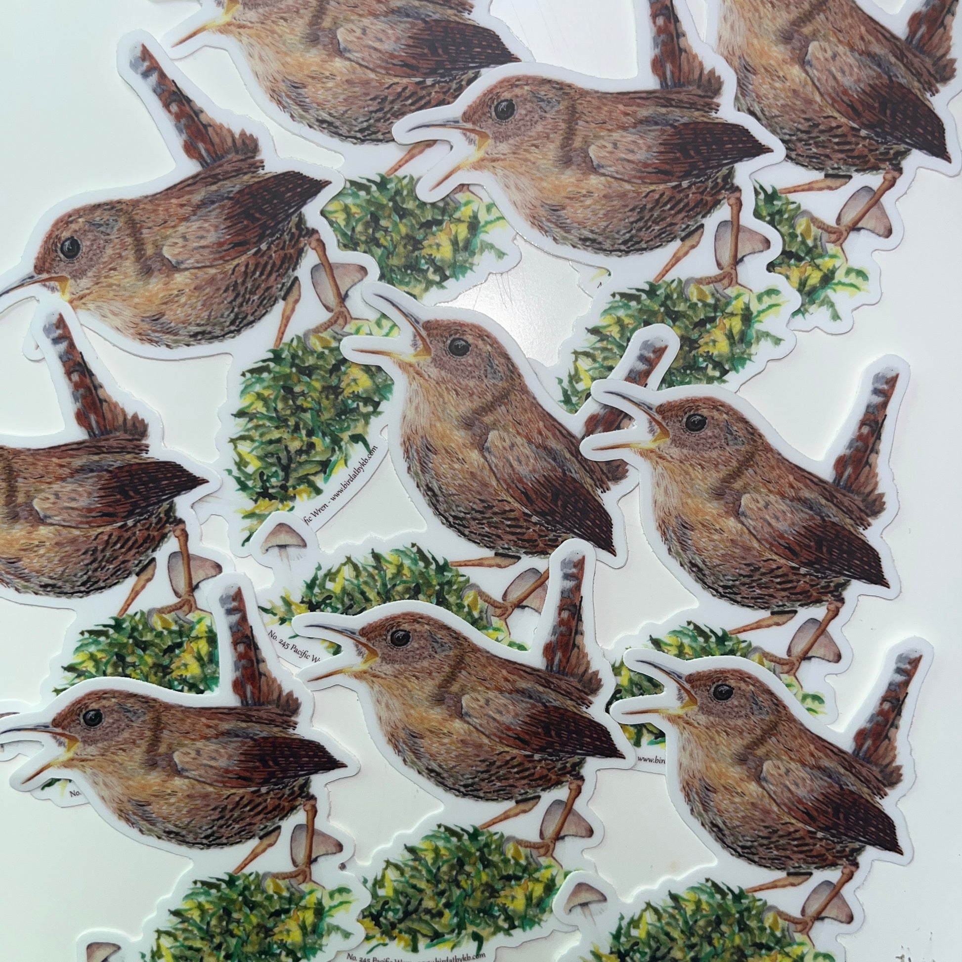 Pacific Wren - Bird Art by KB - Sticker