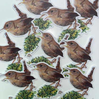 Pacific Wren - Bird Art by KB - Sticker