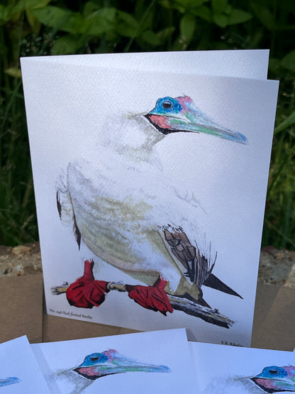 Red-footed Booby - Bird Art by KB - Notecard