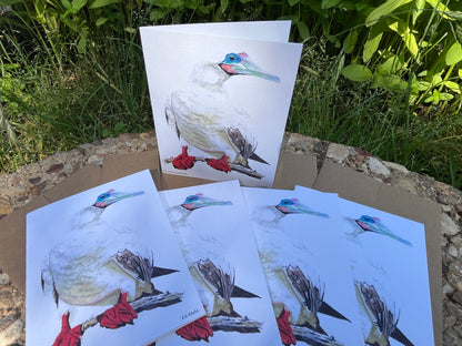 Red-footed Booby - Bird Art by KB - Notecard Set