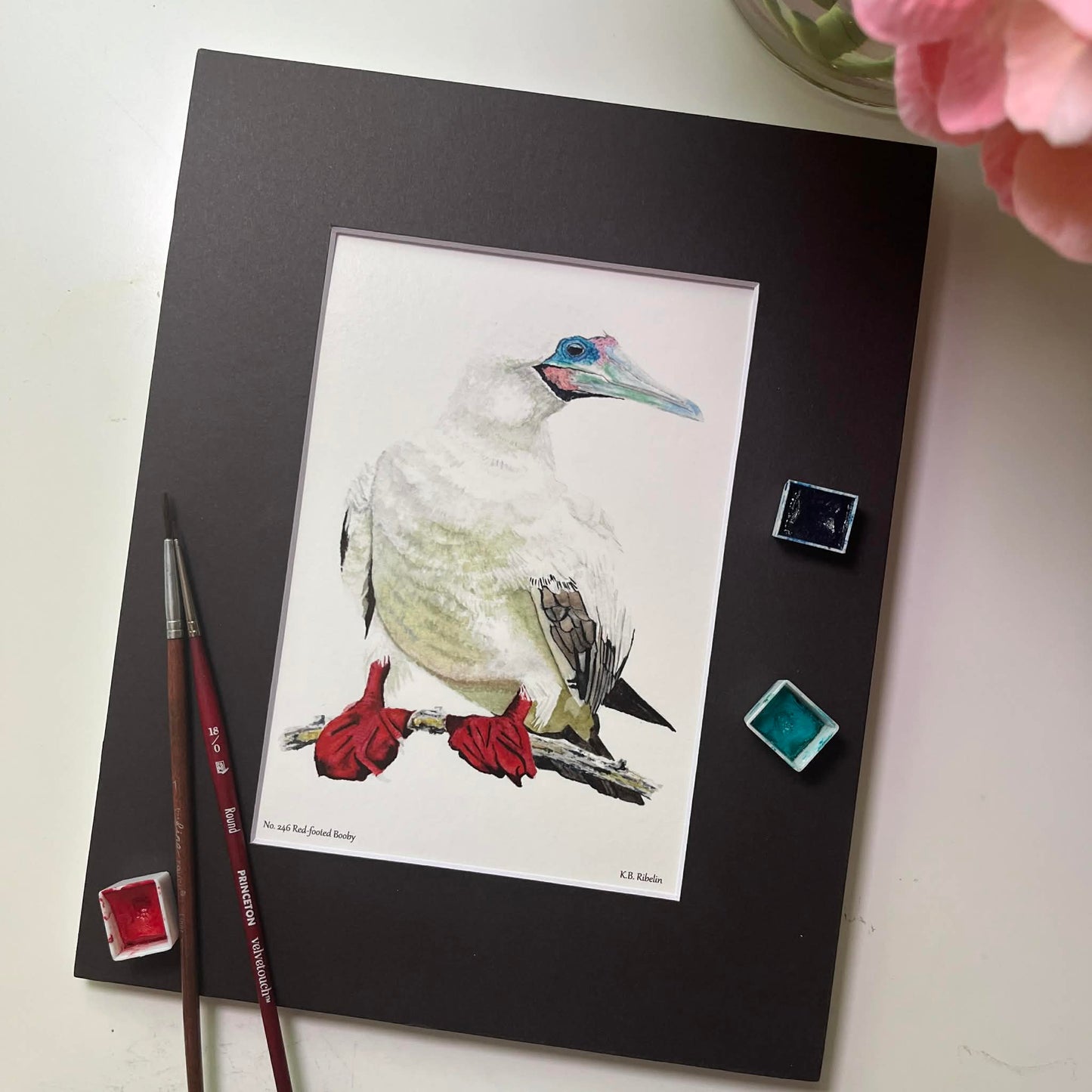 Red-footed Booby - Bird Art by KB - Giclee Print with Black Mat