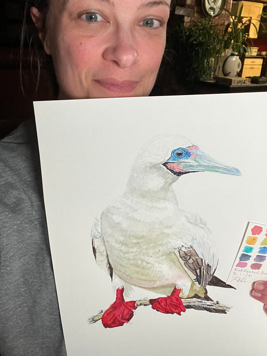 Red-footed Booby - Bird Art by KB - Original