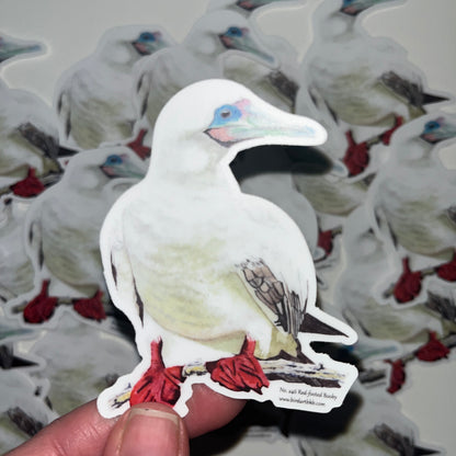 Red-footed Booby - Bird Art by KB - Sticker
