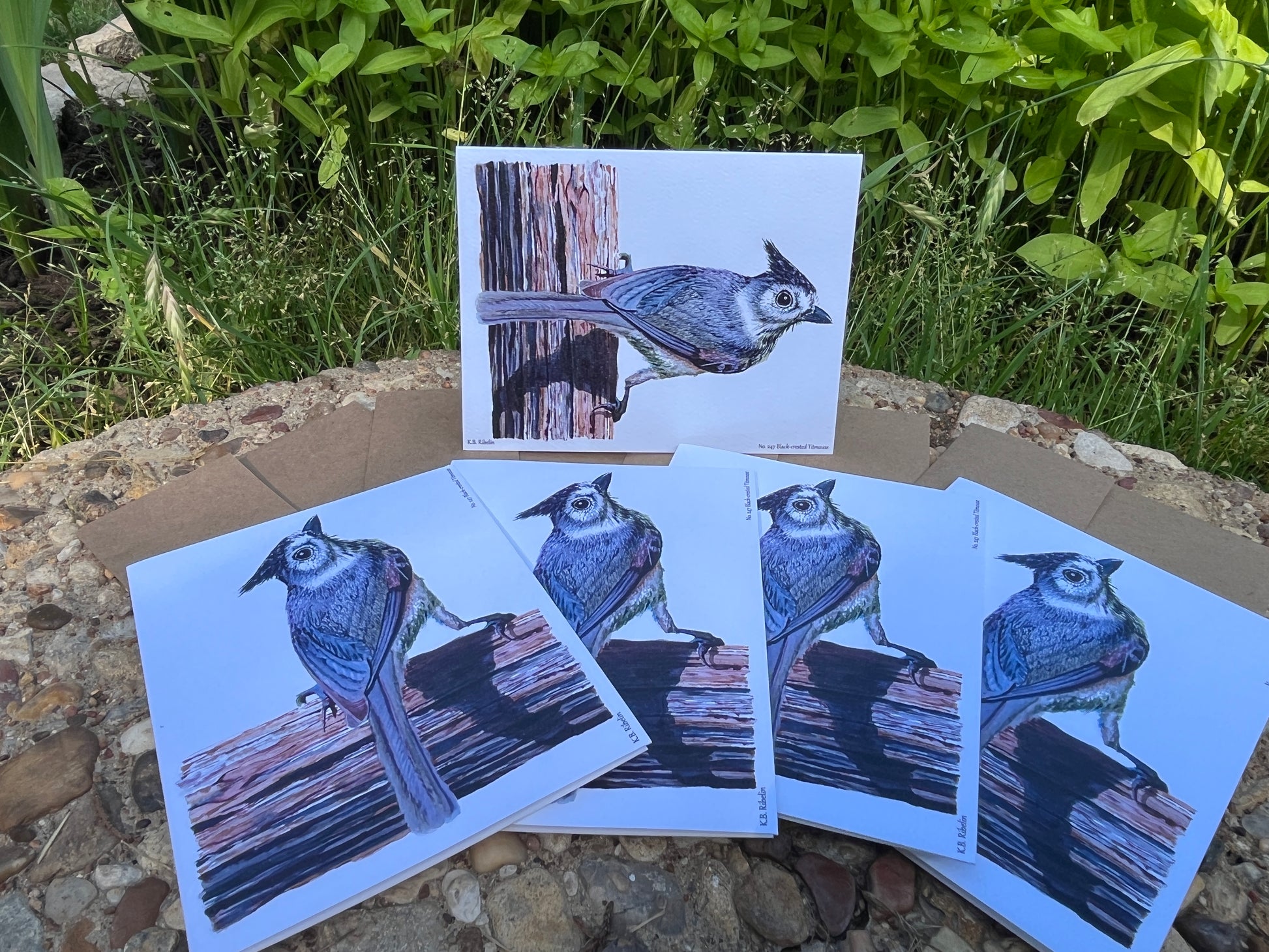 Black-crested Titmouse - Bird Art by KB - Notecard Set