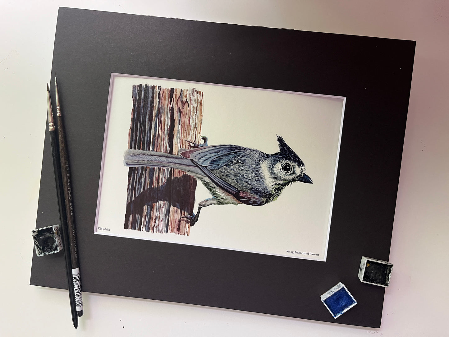 Black-crested Titmouse - Bird Art by KB - Giclee Print with Black Mat