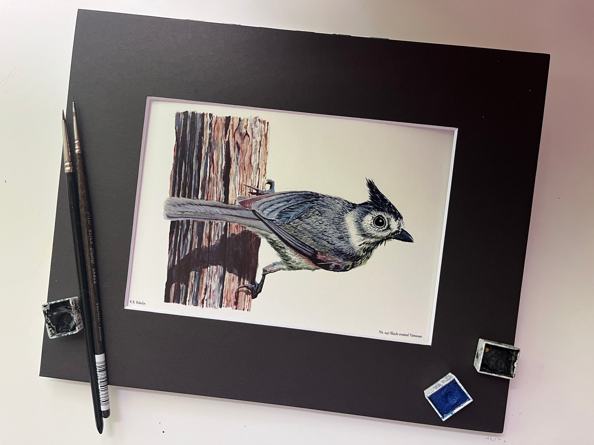 Black-crested Titmouse - Bird Art by KB - Giclee Print with Black Mat