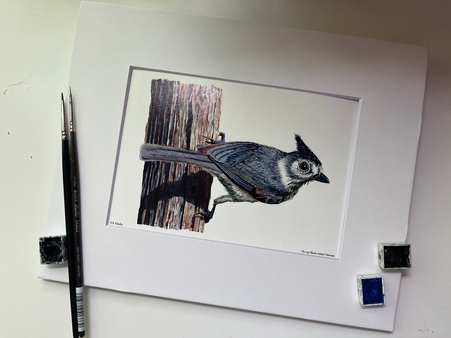 Black-crested Titmouse - Bird Art by KB - Giclee Print with White Mat