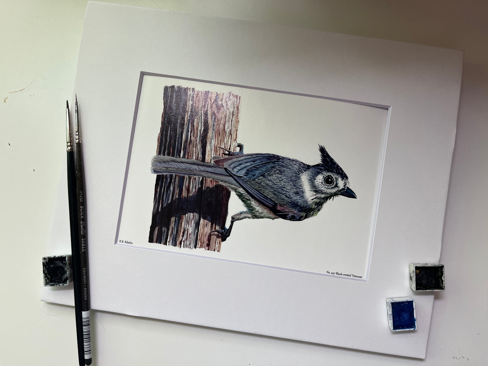 Black-crested Titmouse - Bird Art by KB - Giclee Print with White Mat