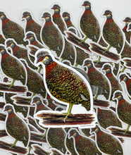 Load image into Gallery viewer, Chestnut Necklaced Partridge #123
