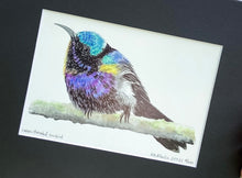 Load image into Gallery viewer, Copper-headed Sunbird
