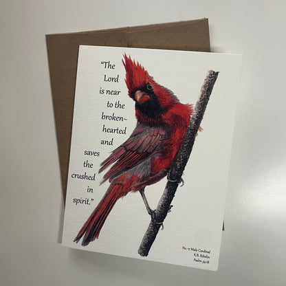 Cardinal Male Notecard Set - Bird Art by KB - Card 1