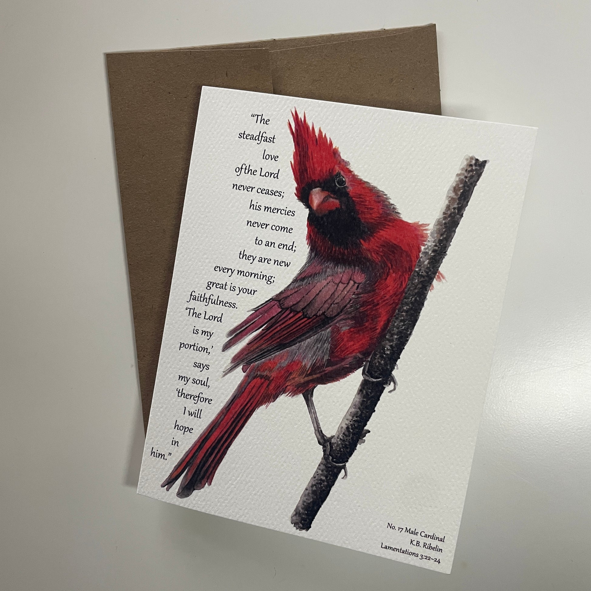 Cardinal Male Notecard Set - Bird Art by KB - Card 3