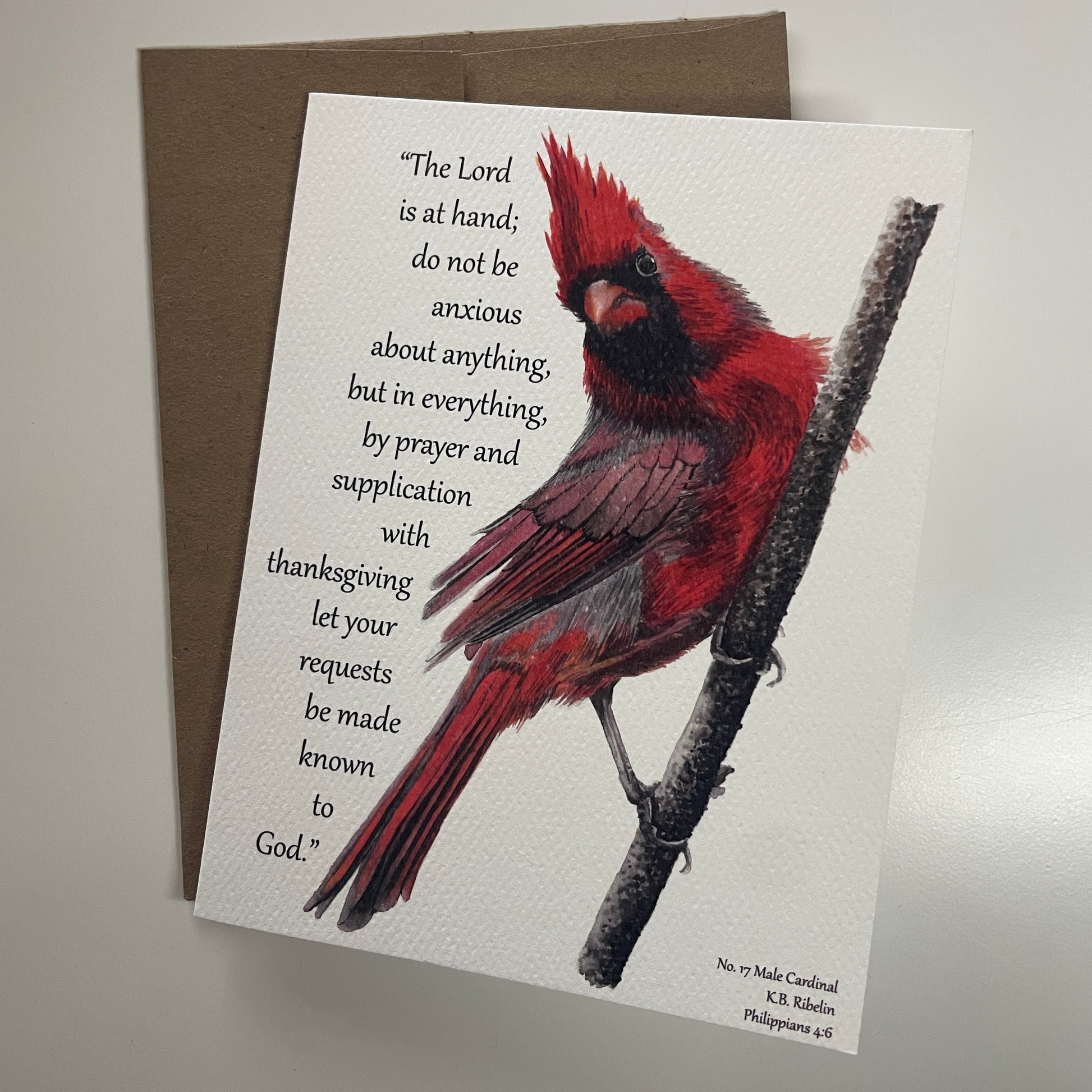 Cardinal Male Notecard Set - Bird Art by KB - Card 4