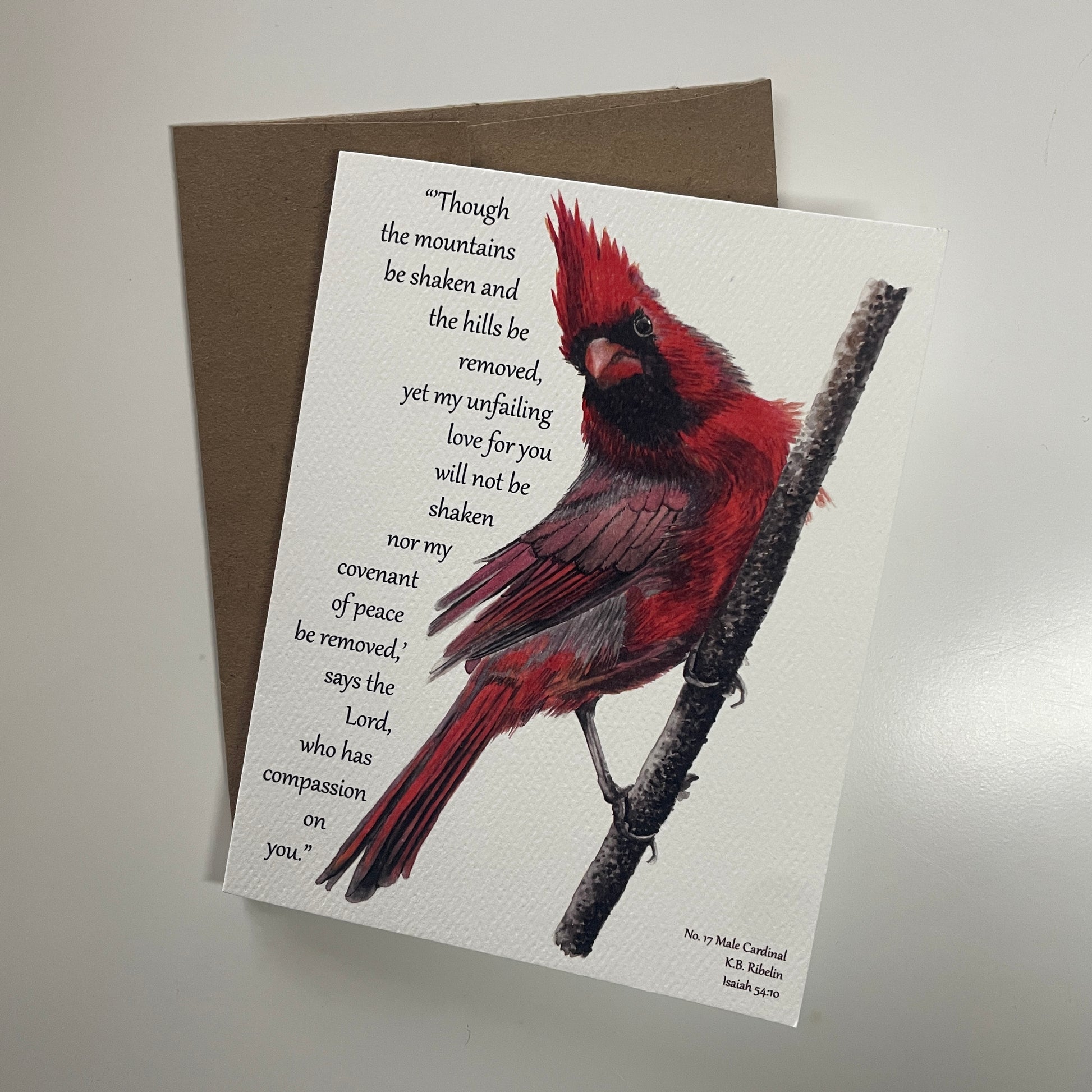 Cardinal Male Notecard Set - Bird Art by KB - Card 5