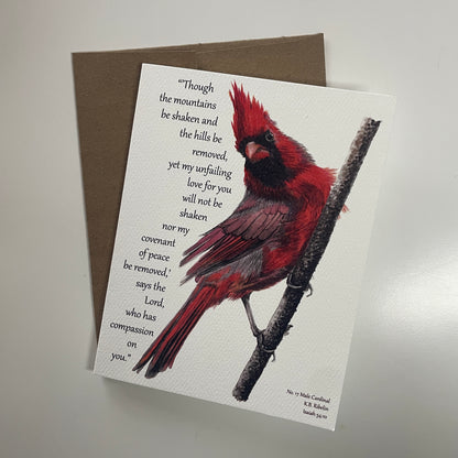 Cardinal Male Notecard Set - Bird Art by KB - Card 5