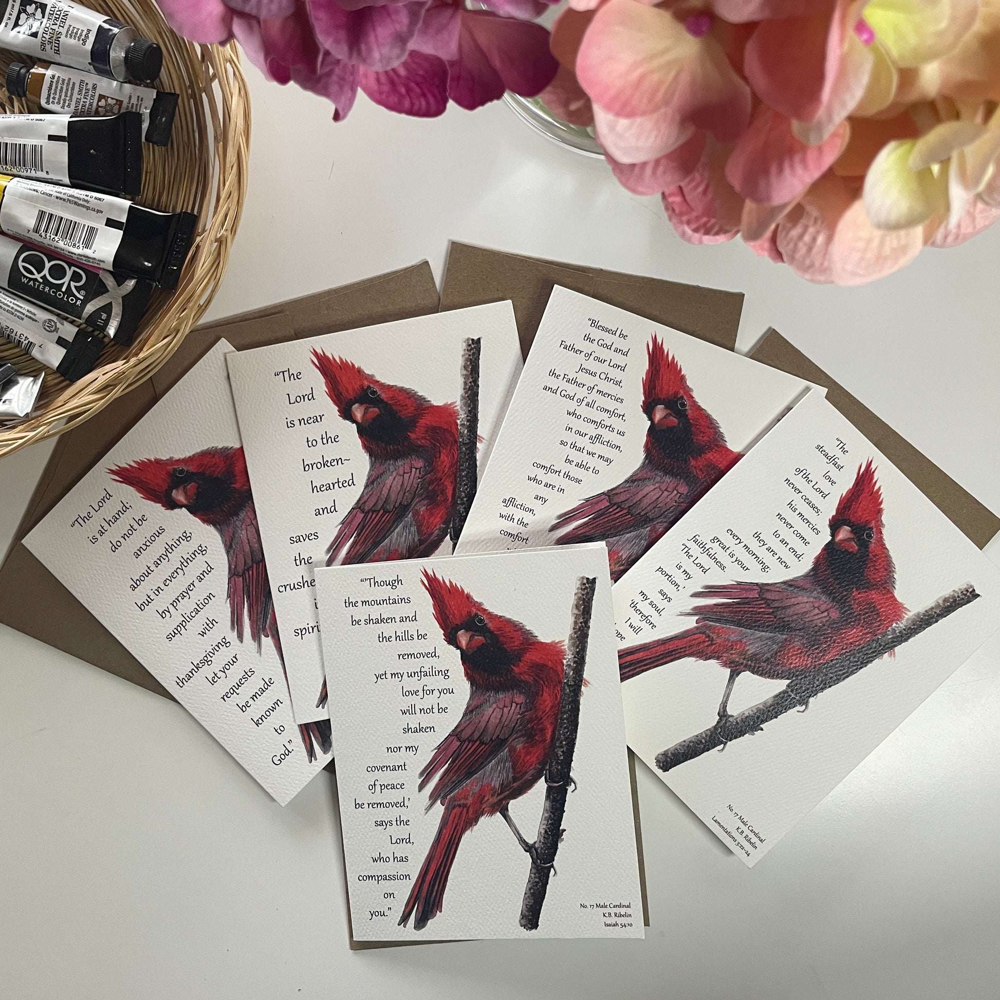 Cardinal Male Notecard Set - Bird Art by KB - Set