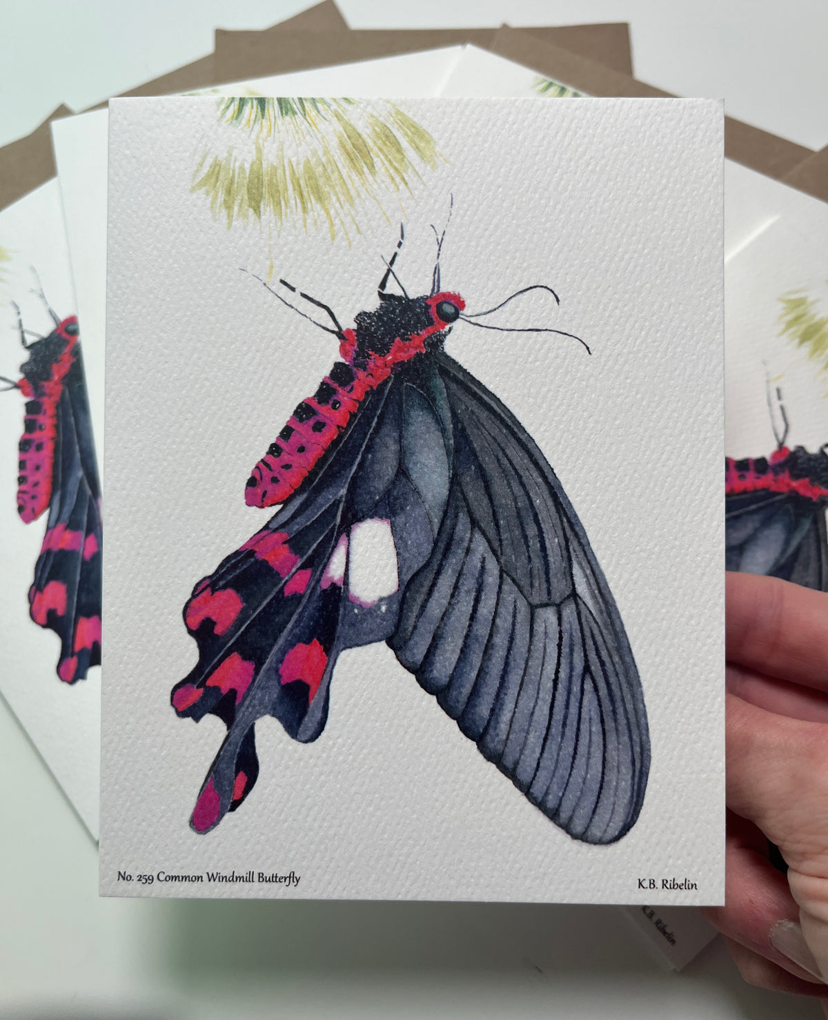 Single notecard printed with the common windmill butterfly with black wings and crimson markings watercolor painting.