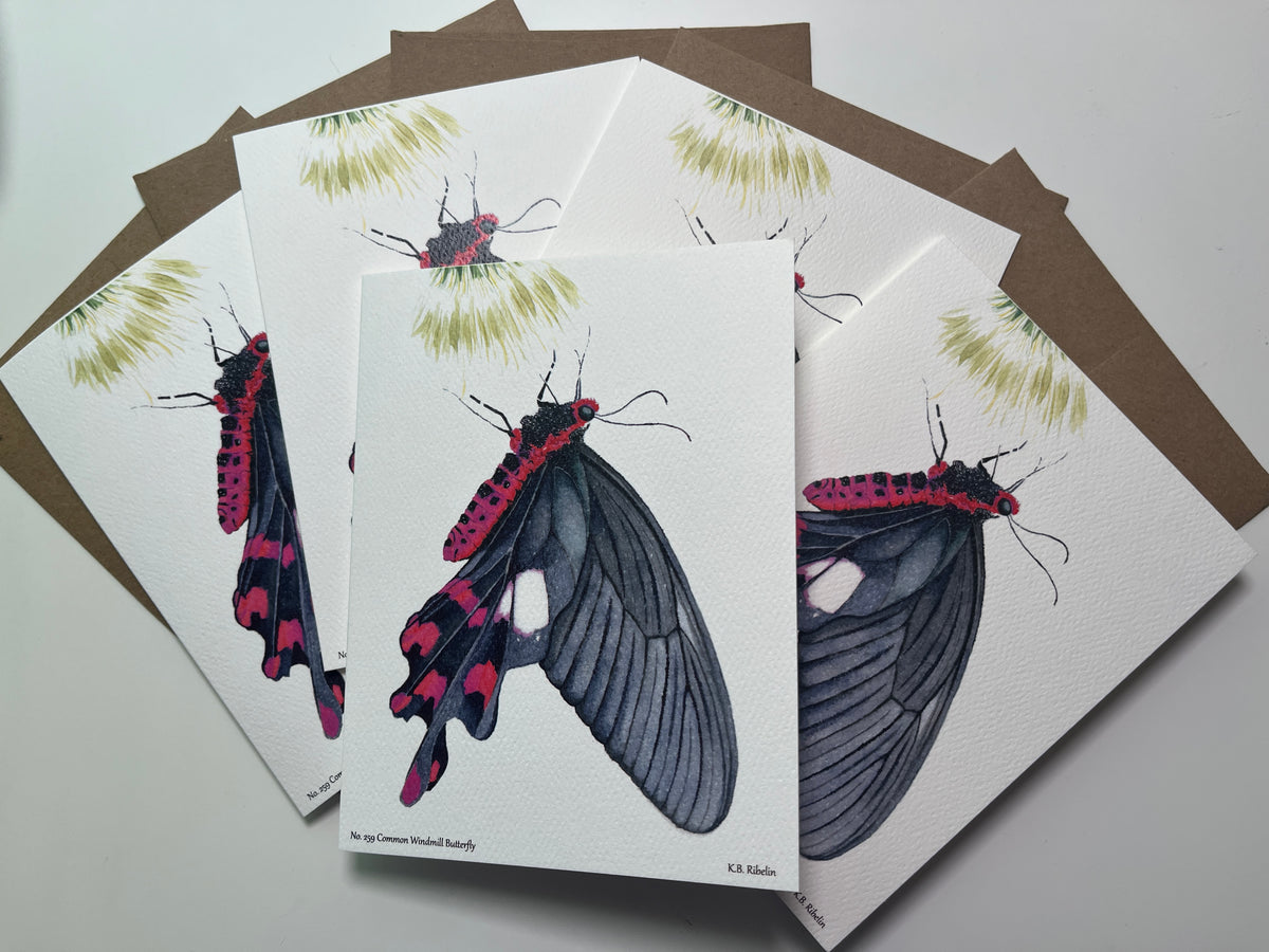 Notecard set featuring the common windmill butterfly with black wings and crimson markings watercolor artwork.