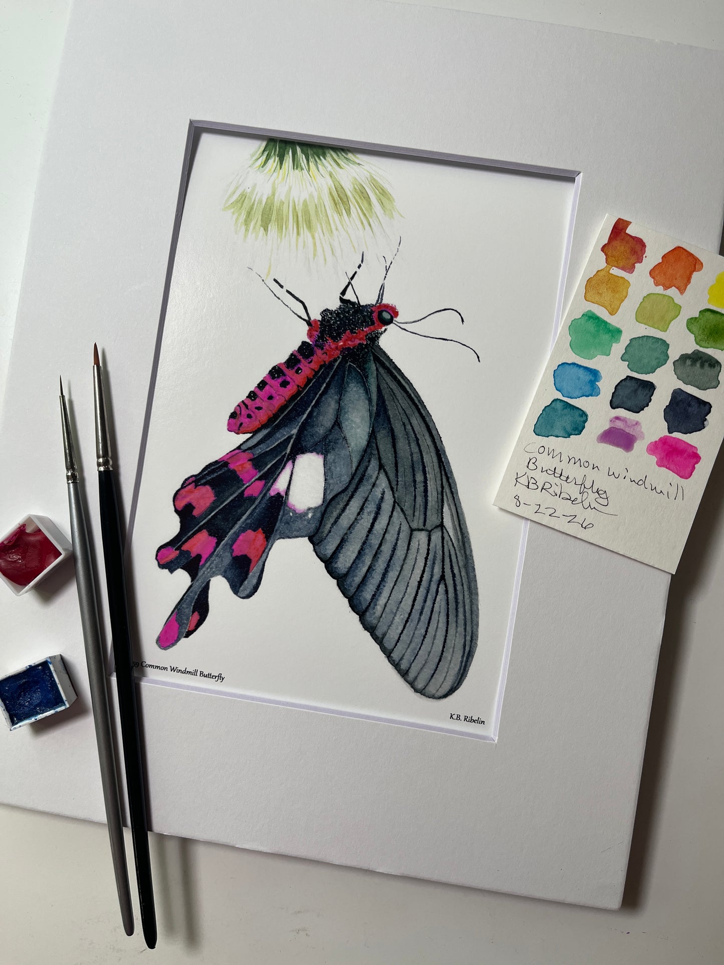Giclee print of a common windmill butterfly with black wings and crimson markings watercolor displayed in a white mat.