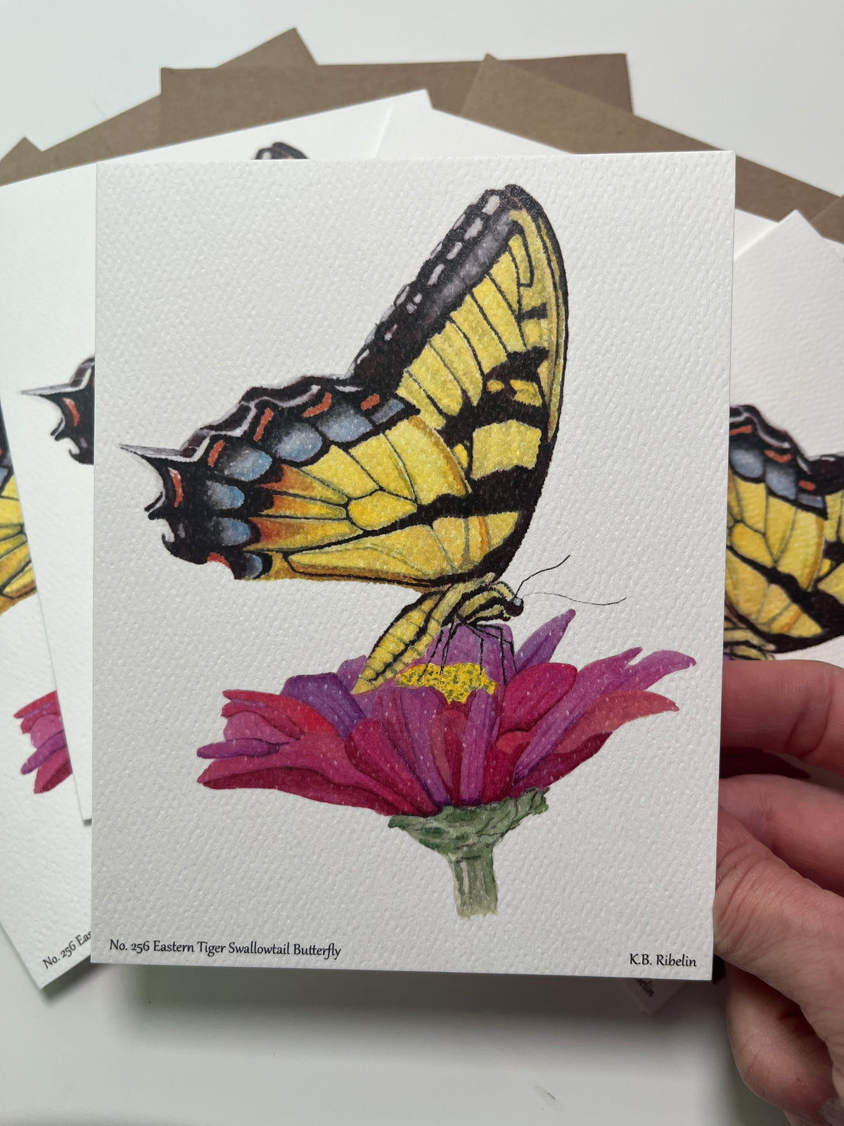 Single notecard printed with the eastern tiger swallowtail butterfly with yellow and black patterned wings painting.