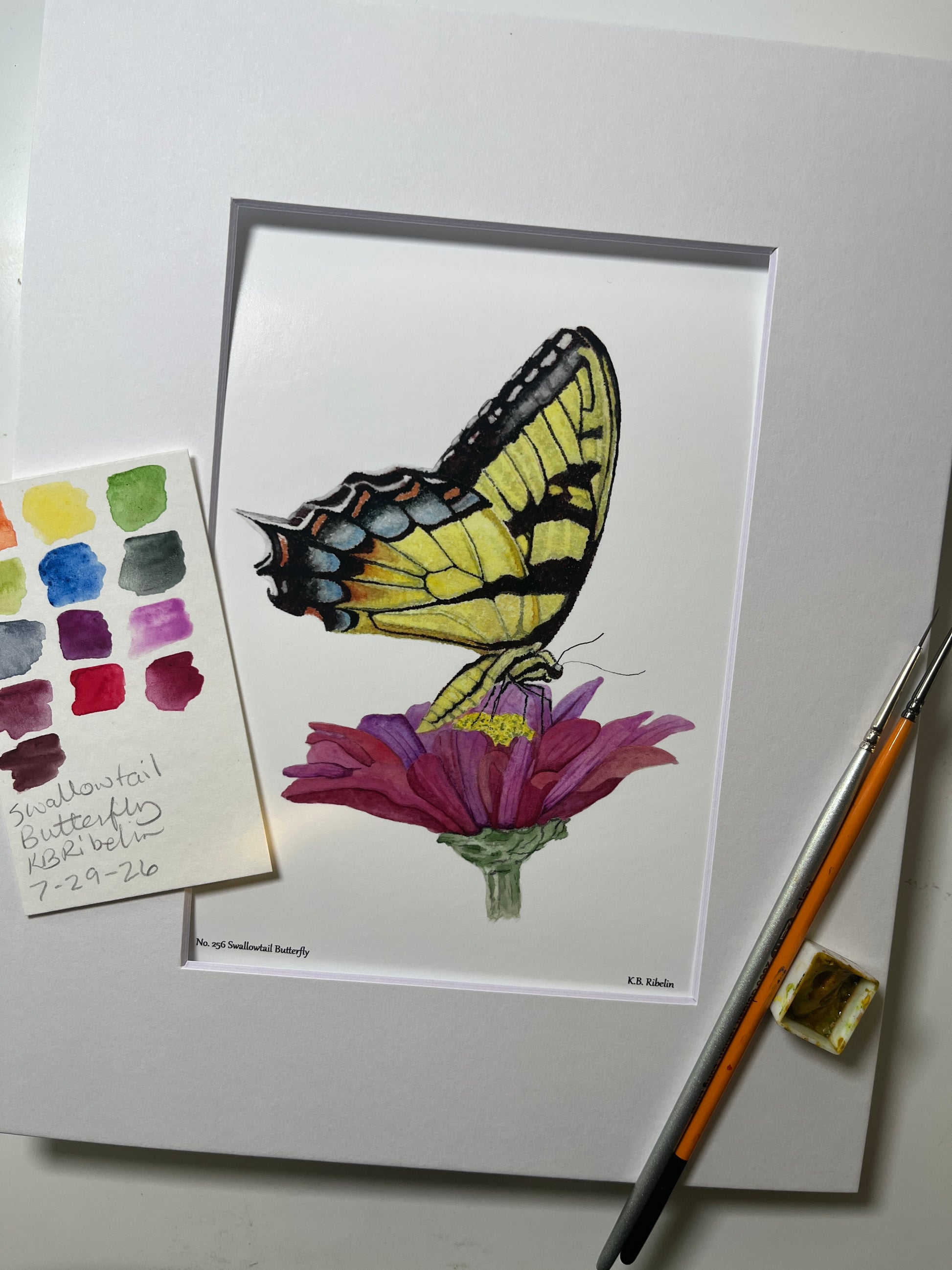 Giclee print of a eastern tiger swallowtail butterfly with yellow and black patterned wings displayed in a white mat.