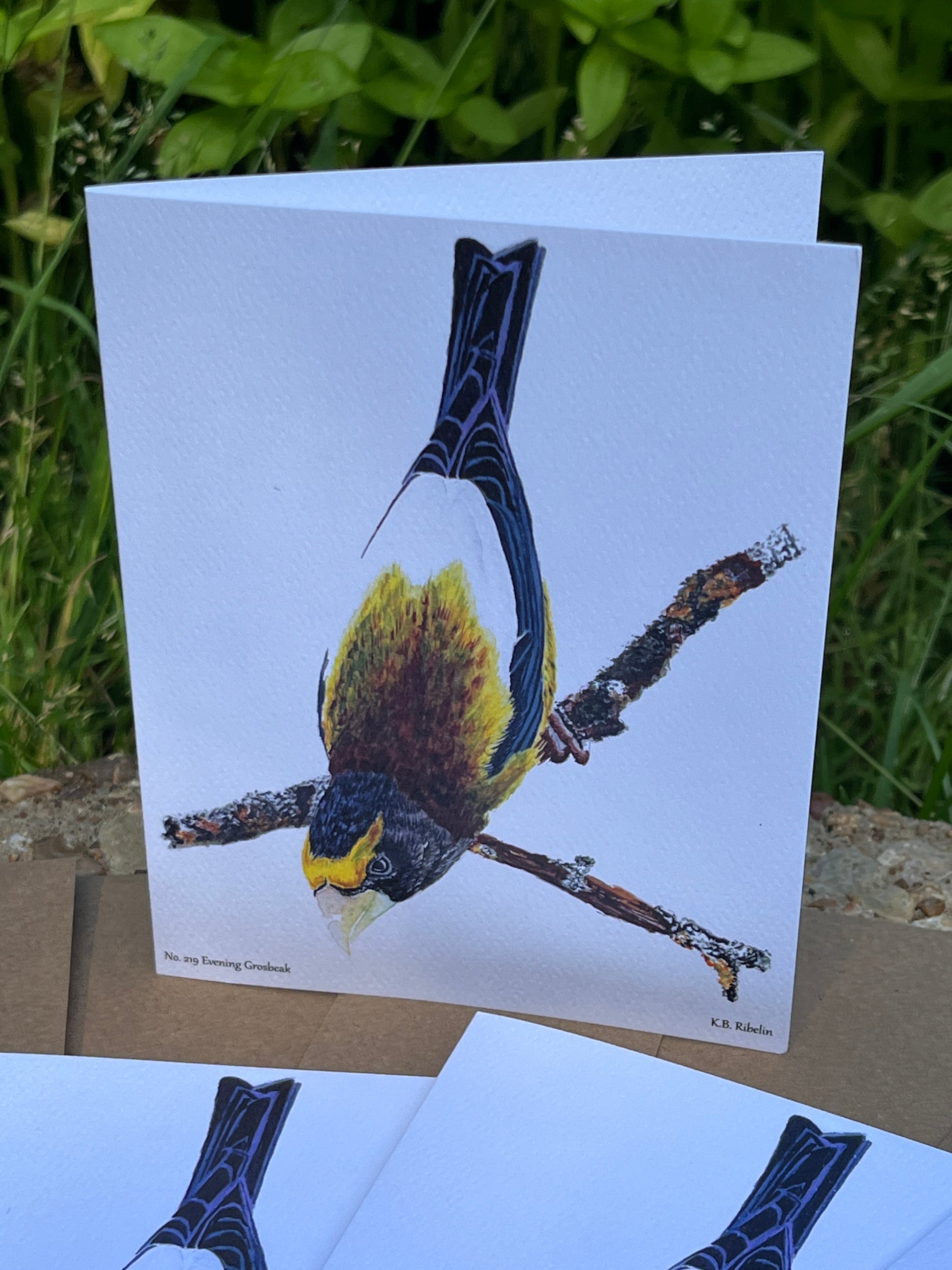 Evening Grosbeak - Bird Art by KB - Notecard