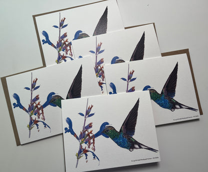Notecard set featuring the the fork‑tailed wood nymph hummingbird feeding from a tropical flower watercolor artwork.