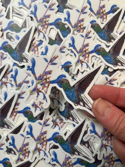 Sticker of the the fork‑tailed wood nymph hummingbird feeding from a tropical flower watercolor artwork.