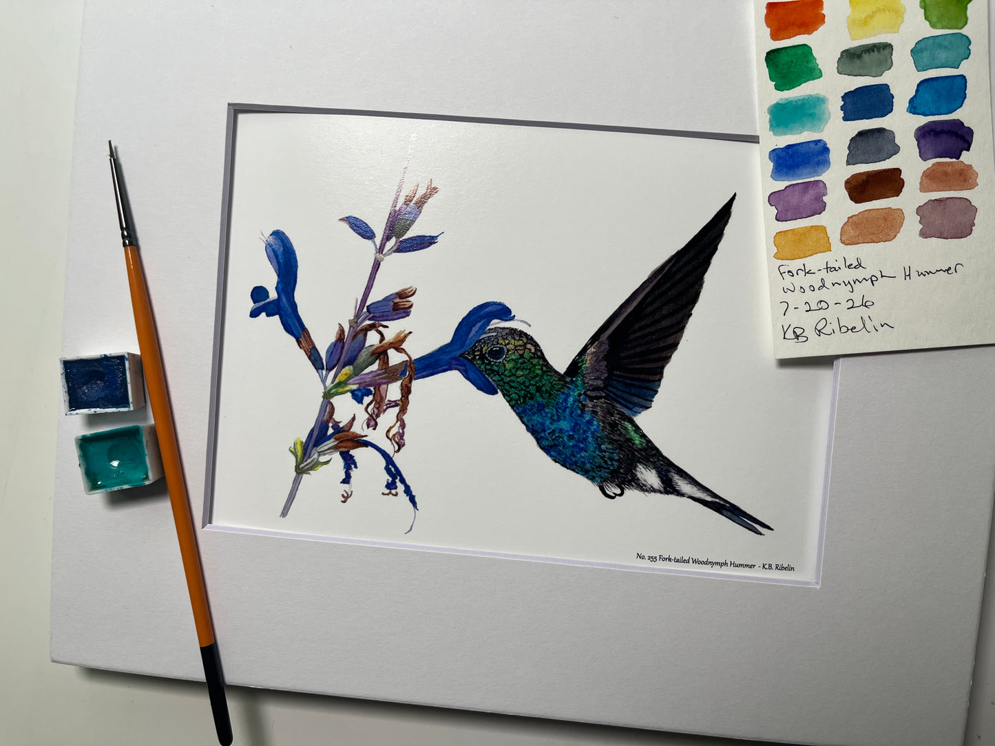 Giclee print of a fork‑tailed wood nymph hummingbird feeding from a tropical flower watercolor displayed in a white mat.