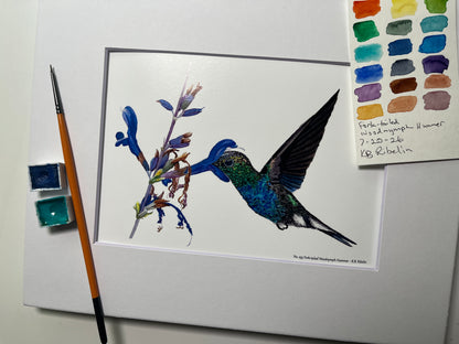 Giclee print of a fork‑tailed wood nymph hummingbird feeding from a tropical flower watercolor displayed in a white mat.