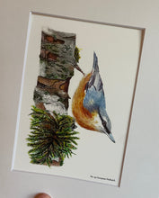 Load image into Gallery viewer, Eurasian Nuthatch #130
