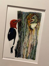 Load image into Gallery viewer, Red-headed Woodpecker
