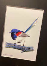 Load image into Gallery viewer, Purple-backed Fairywren
