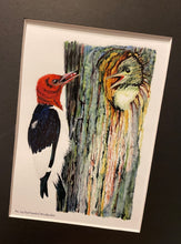 Load image into Gallery viewer, Red-headed Woodpecker
