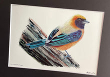 Load image into Gallery viewer, Buff-bellied Tanager #119
