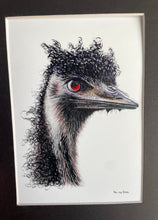 Load image into Gallery viewer, Emu #114
