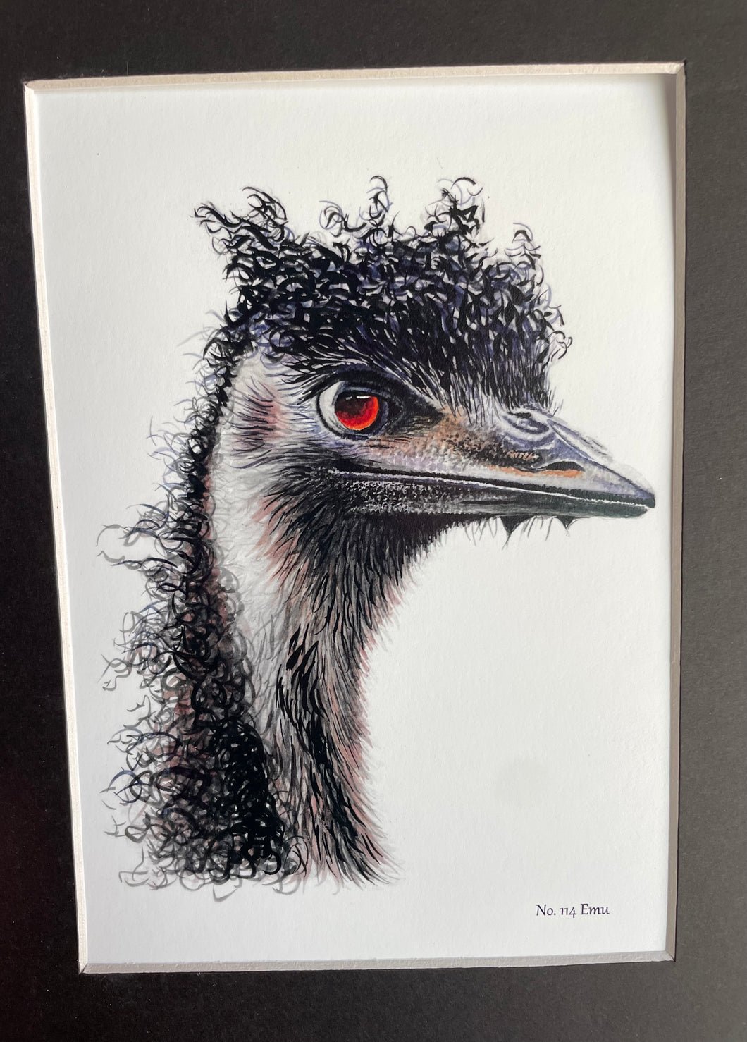 Emu #114