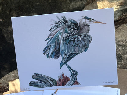 Great Blue Heron - Bird Art by KB - Notecard