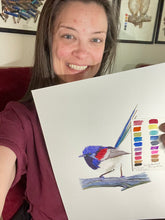 Load image into Gallery viewer, Purple-backed Fairywren
