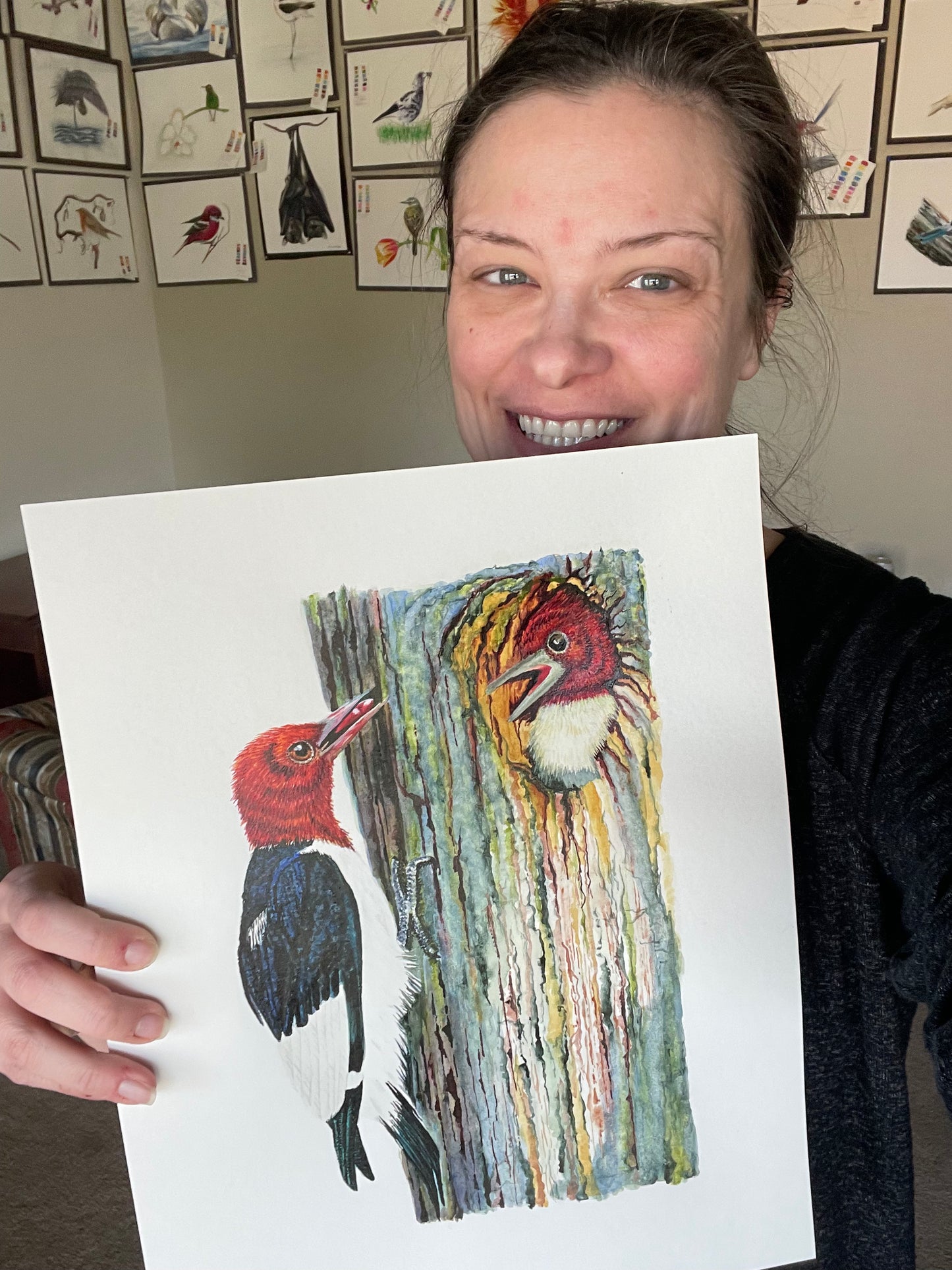 Red-headed Woodpecker - Bird Art by KB