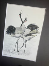 Load image into Gallery viewer, Red-crowned Crane #129
