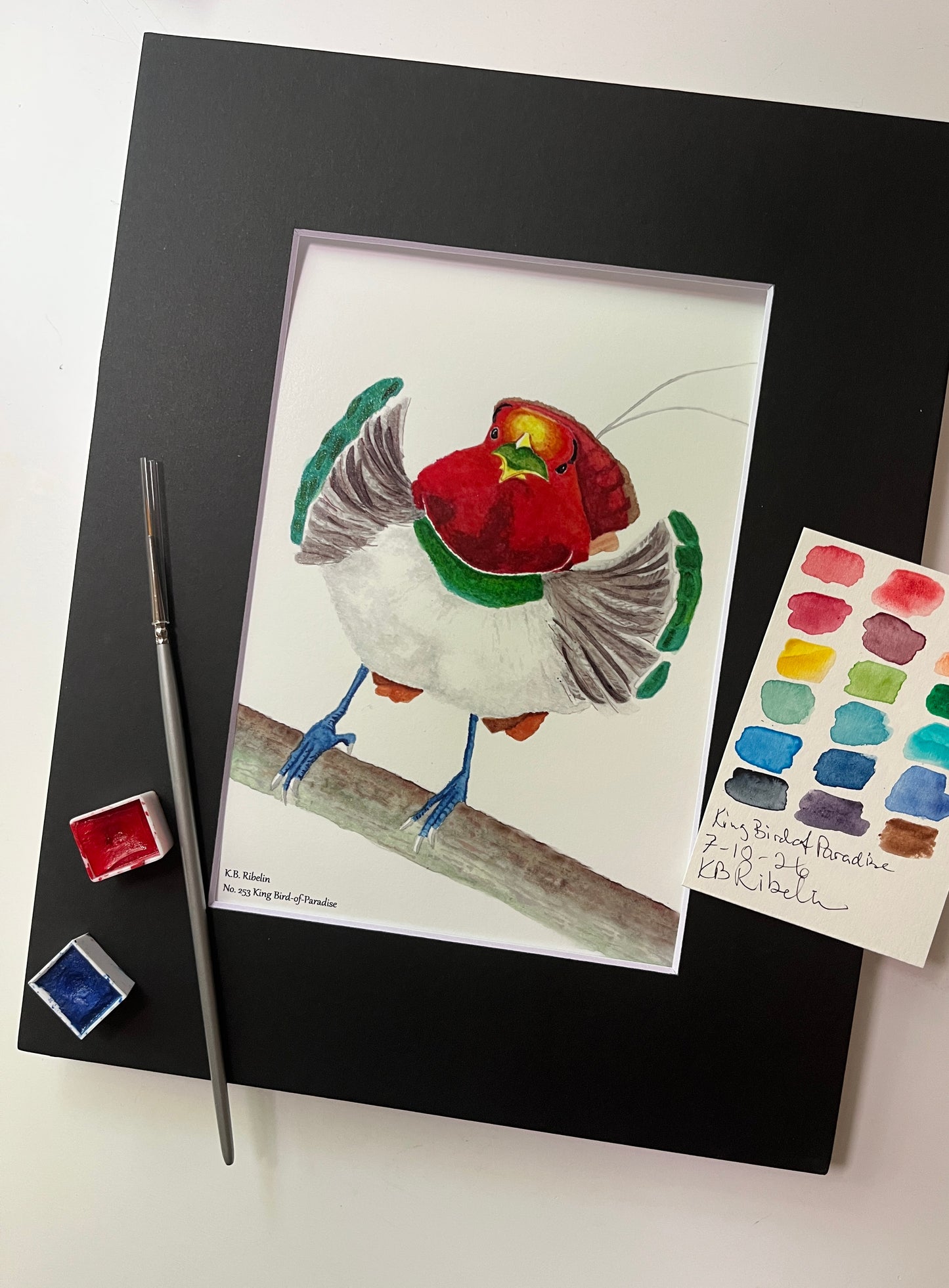 Giclee print of a king bird-of-paradise perched on branch with red plumage, green collar, and long tail wires displayed in a black mat.