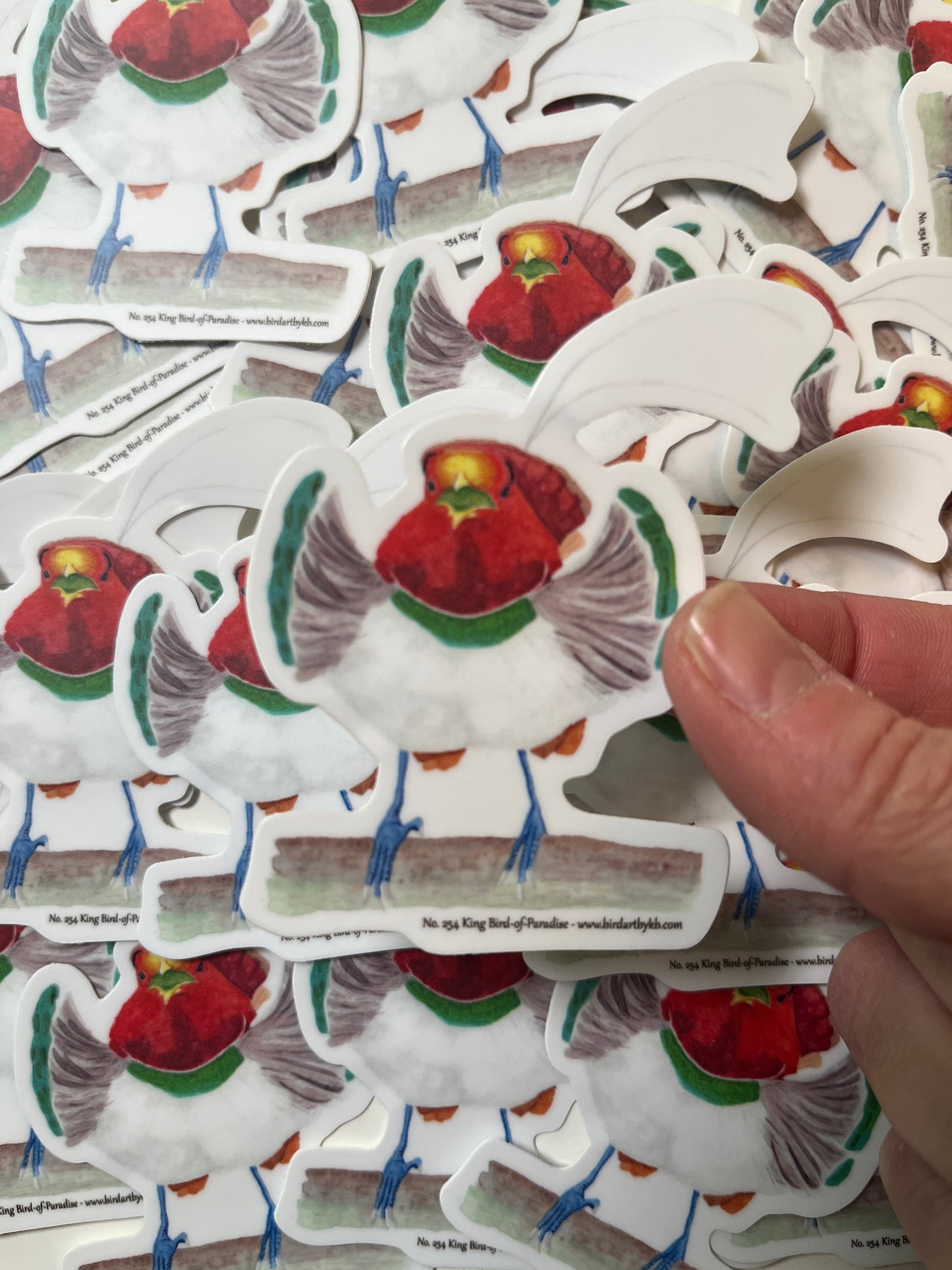 Sticker of the king bird-of-paradise perched on branch with red plumage, green collar, and long tail wires artwork.