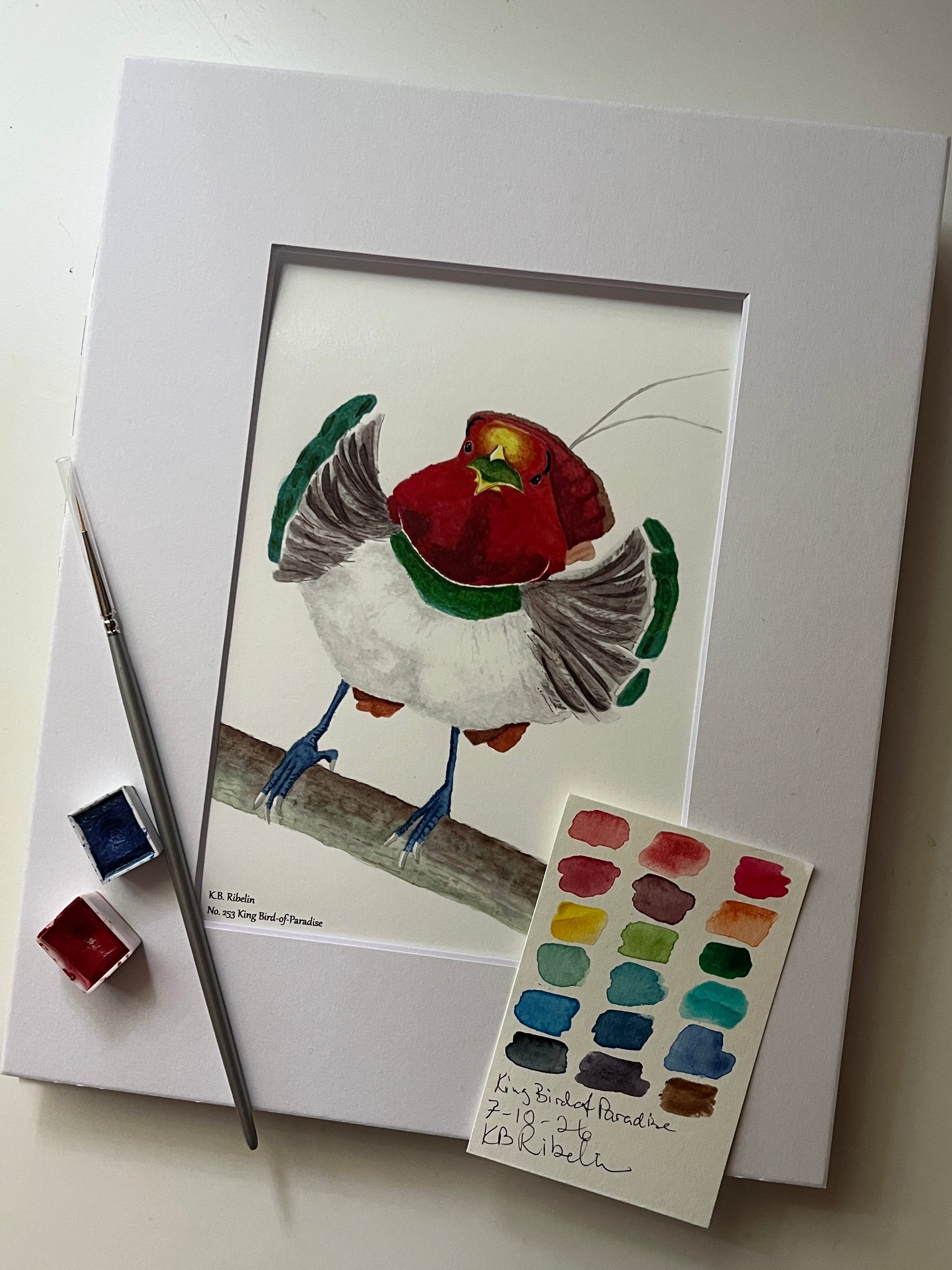 Giclee print of a king bird-of-paradise perched on branch with red plumage, green collar, and long tail wires displayed in a white mat.