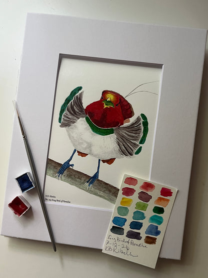 Giclee print of a king bird-of-paradise perched on branch with red plumage, green collar, and long tail wires displayed in a white mat.