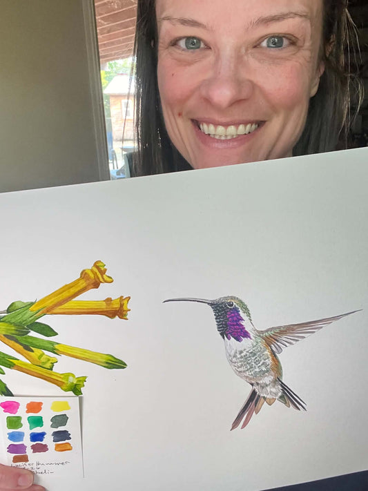 Artist holding the original painting of a lucifer hummingbird hovering near yellow desert flowers, showing the artwork clearly.