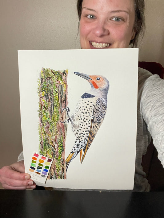 Artist holding the original painting of a northern flicker perched on a mossy tree trunk watercolor, showing the artwork clearly.