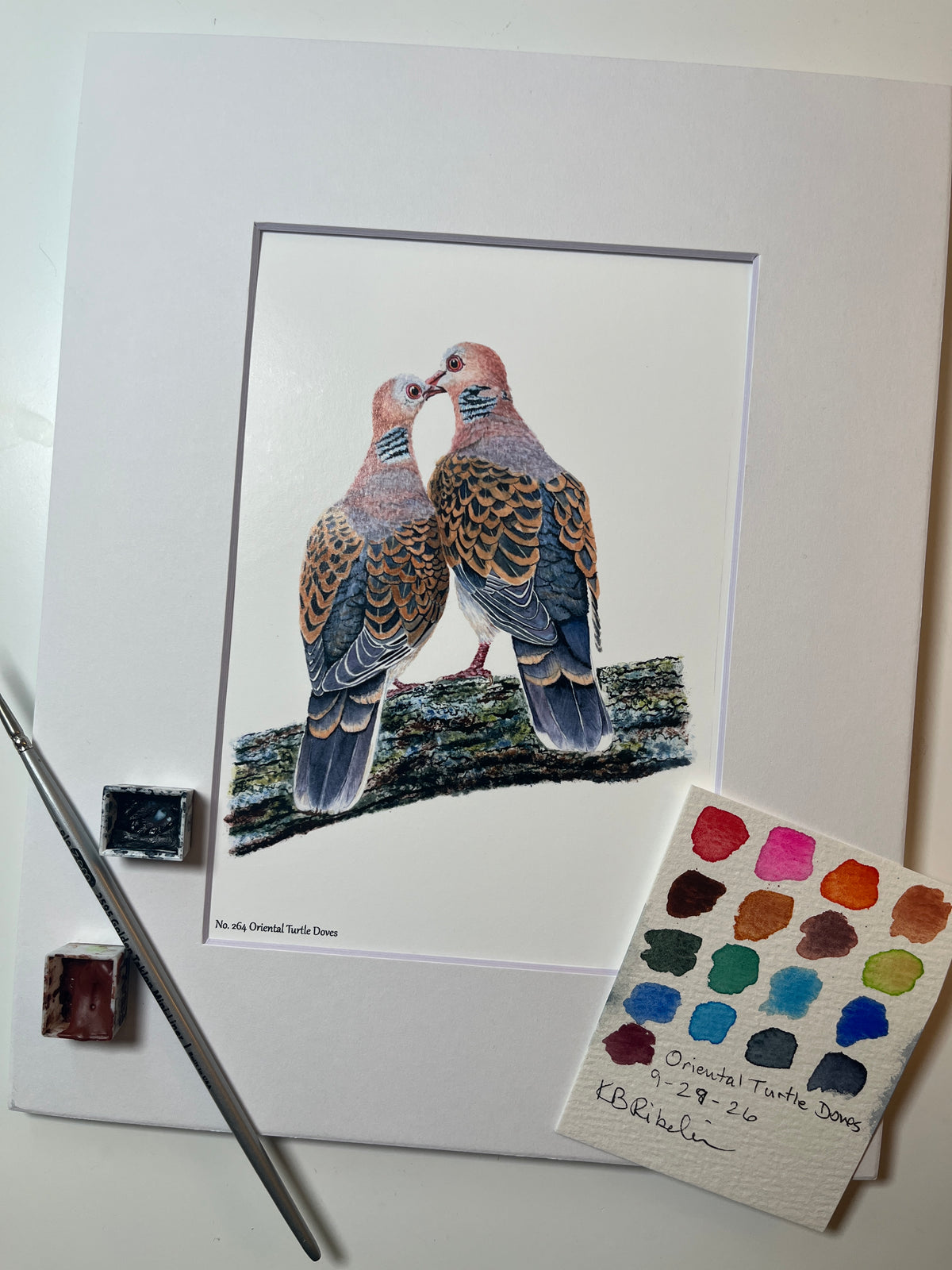 Giclee print of a two oriental turtle doves perched together touching beaks displayed in a white mat.